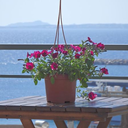 Naxos Illusion Nikos Verikokos Naxos City Dış mekan fotoğraf