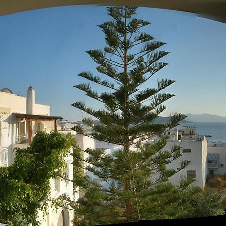 Naxos Illusion Nikos Verikokos Naxos City Dış mekan fotoğraf